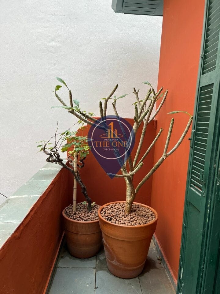 Casa, 2 quartos, 105 m² - Foto 17