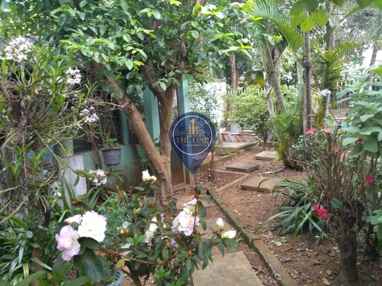 Casa, 4 quartos, 350 m² - Foto 18