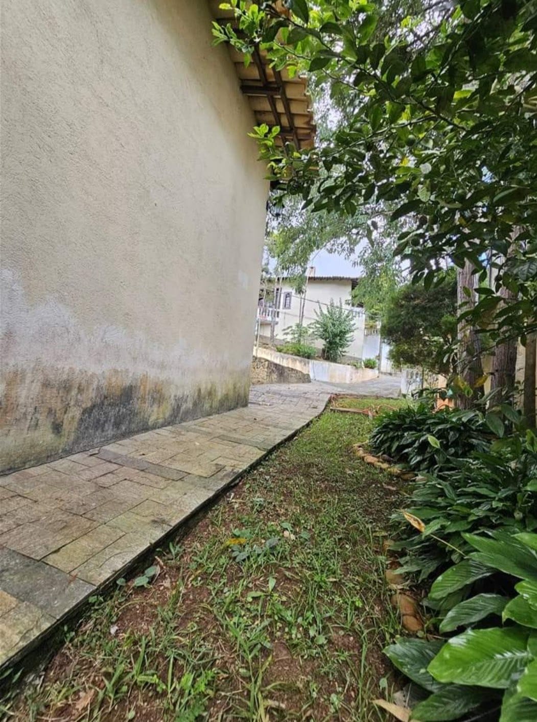 Casa, 3 quartos, 250 m² - Foto 3