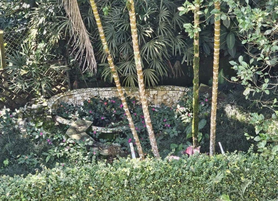 Casa, 3 quartos, 250 m² - Foto 75