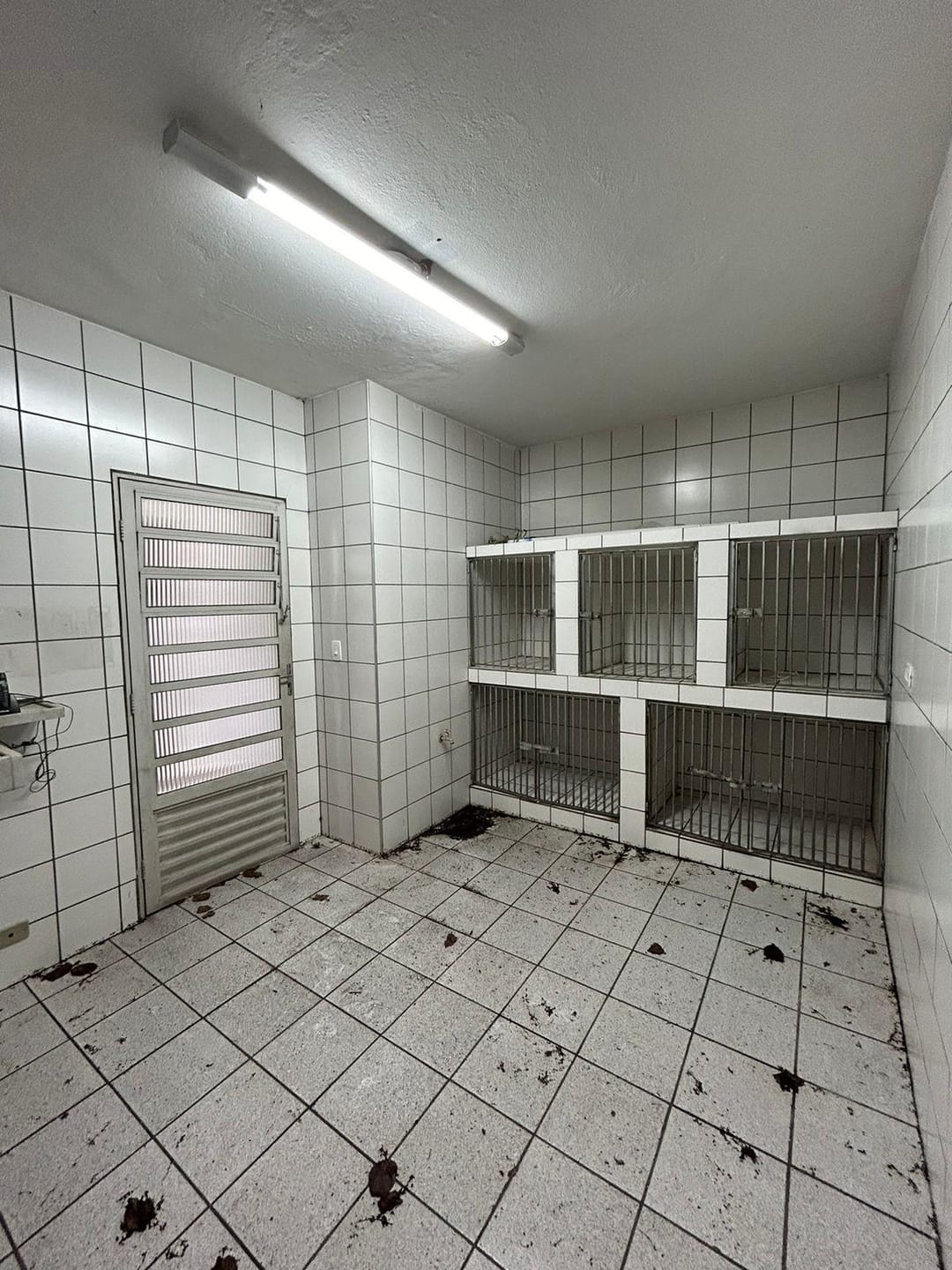 Casa, 5 quartos, 298 m² - Foto 7