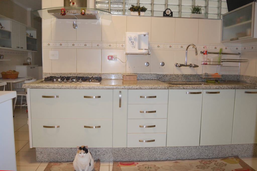 Casa, 3 quartos, 390 m² - Foto 43