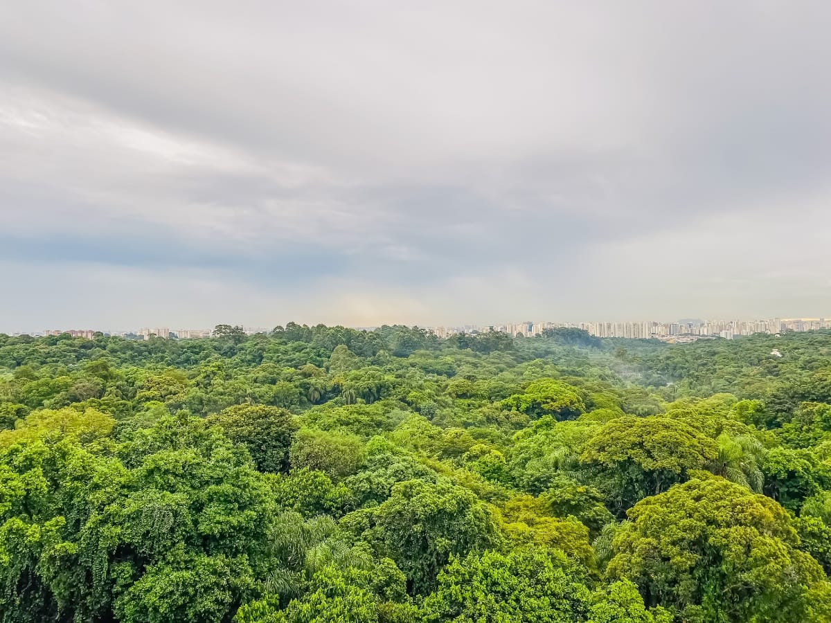 Apartamento, 3 quartos, 63 m² - Foto 10