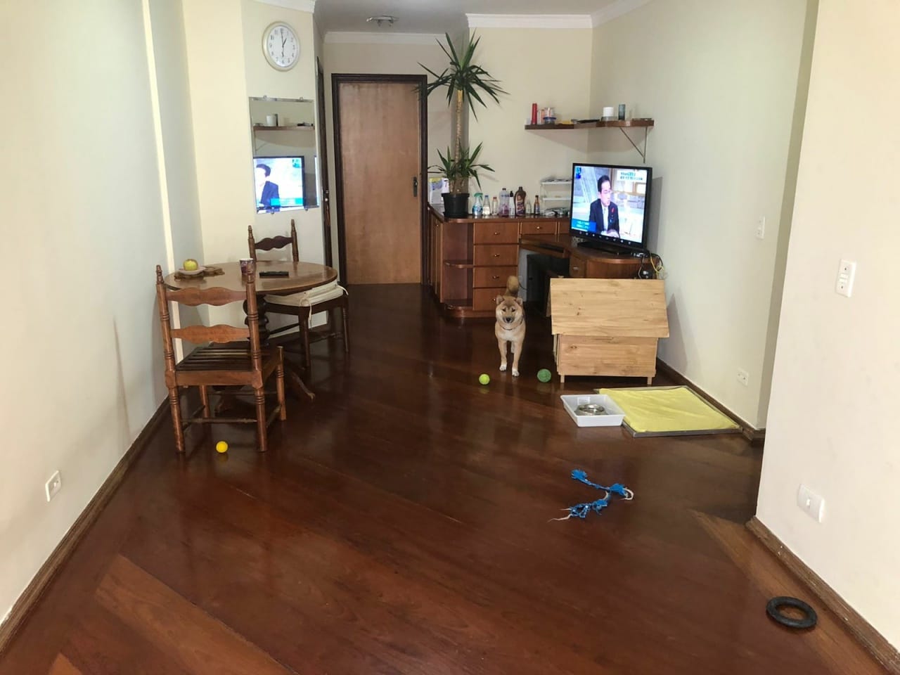 Apartamento, 3 quartos, 861 m² - Foto 9