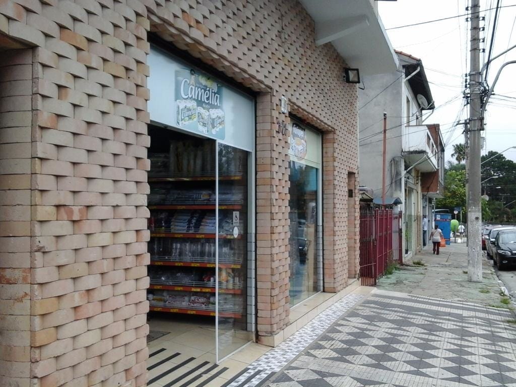 Casa, 5 quartos, 575 m² - Foto 11