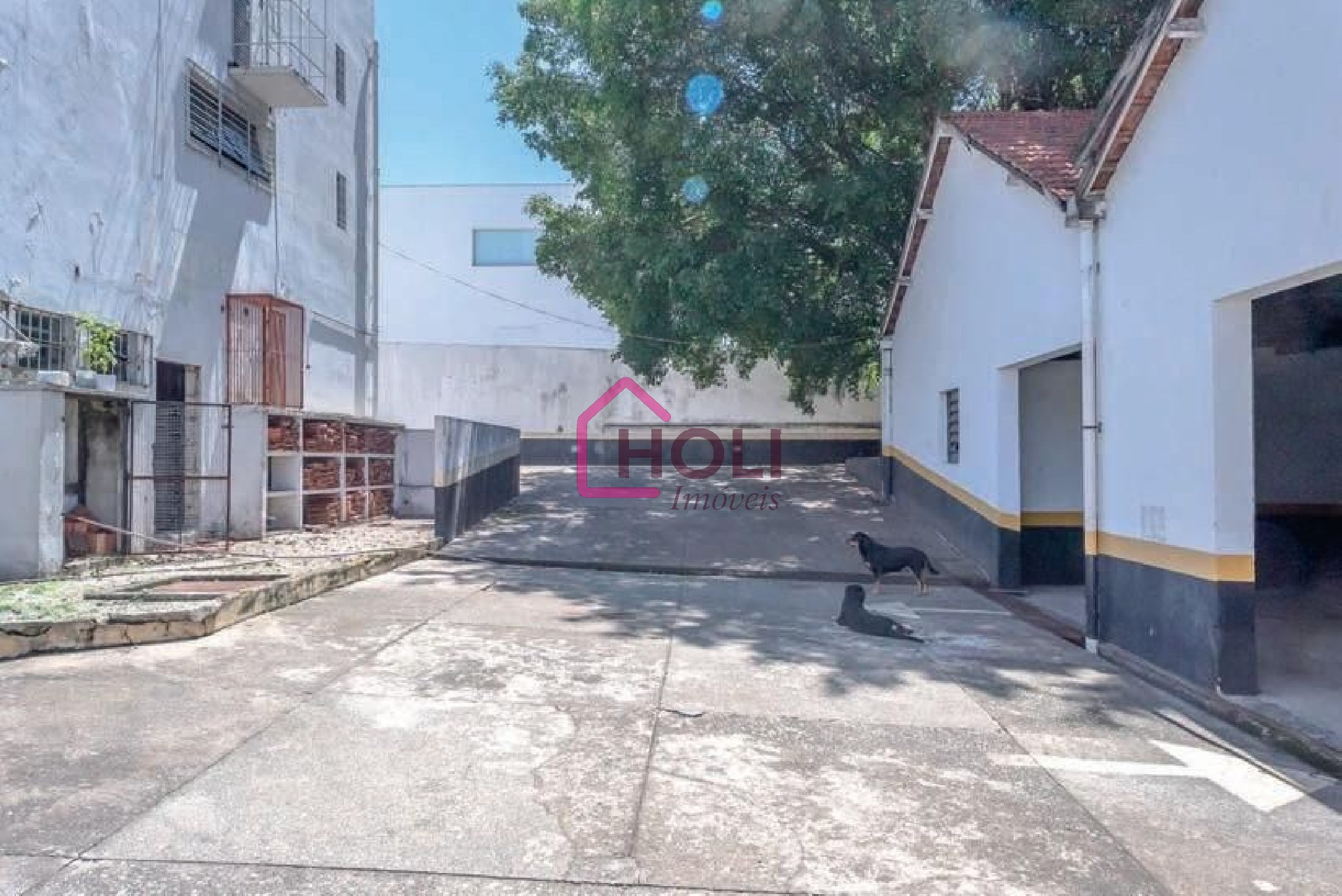 Prédio Inteiro, 1736 m² - Foto 13