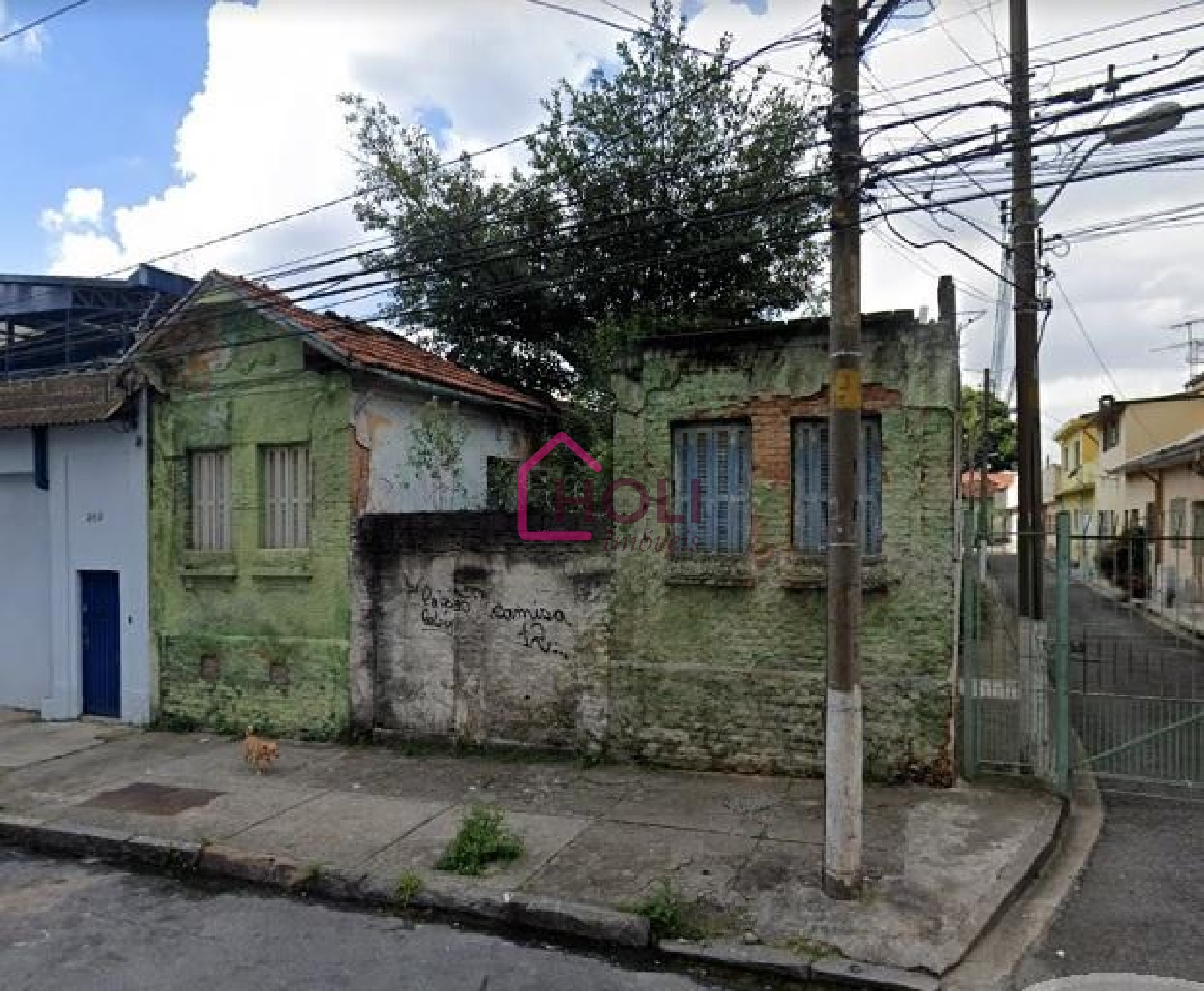 Terreno, 735 m² - Foto 4