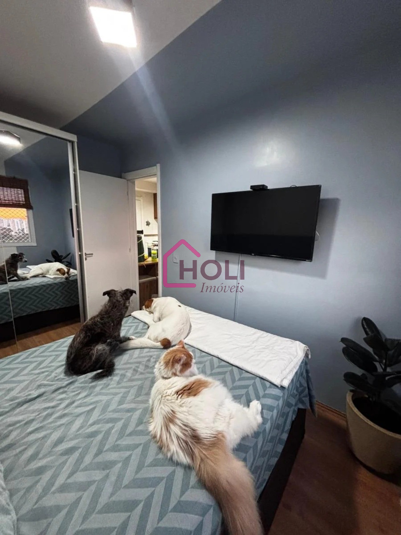 Apartamento, 1 quarto, 28 m² - Foto 4