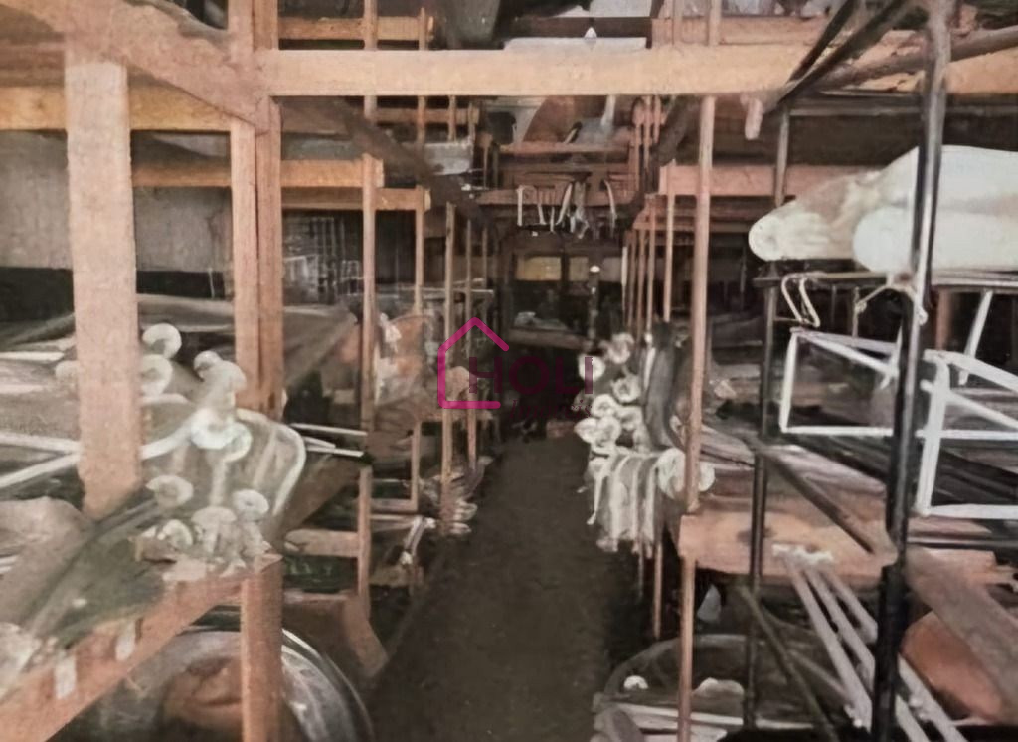 Depósito-Galpão, 300 m² - Foto 2