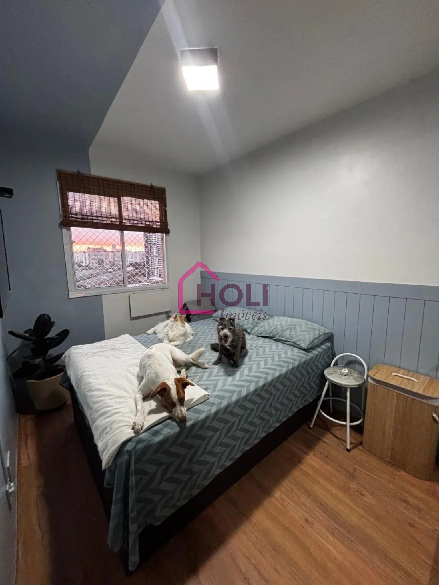 Apartamento, 1 quarto, 28 m² - Foto 3