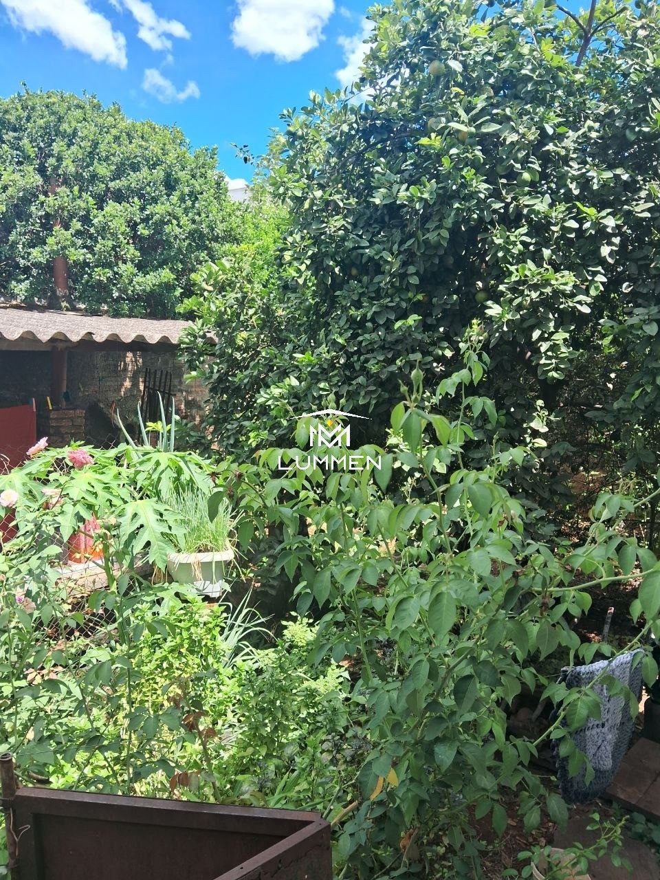 Casa, 5 quartos, 300 m² - Foto 22