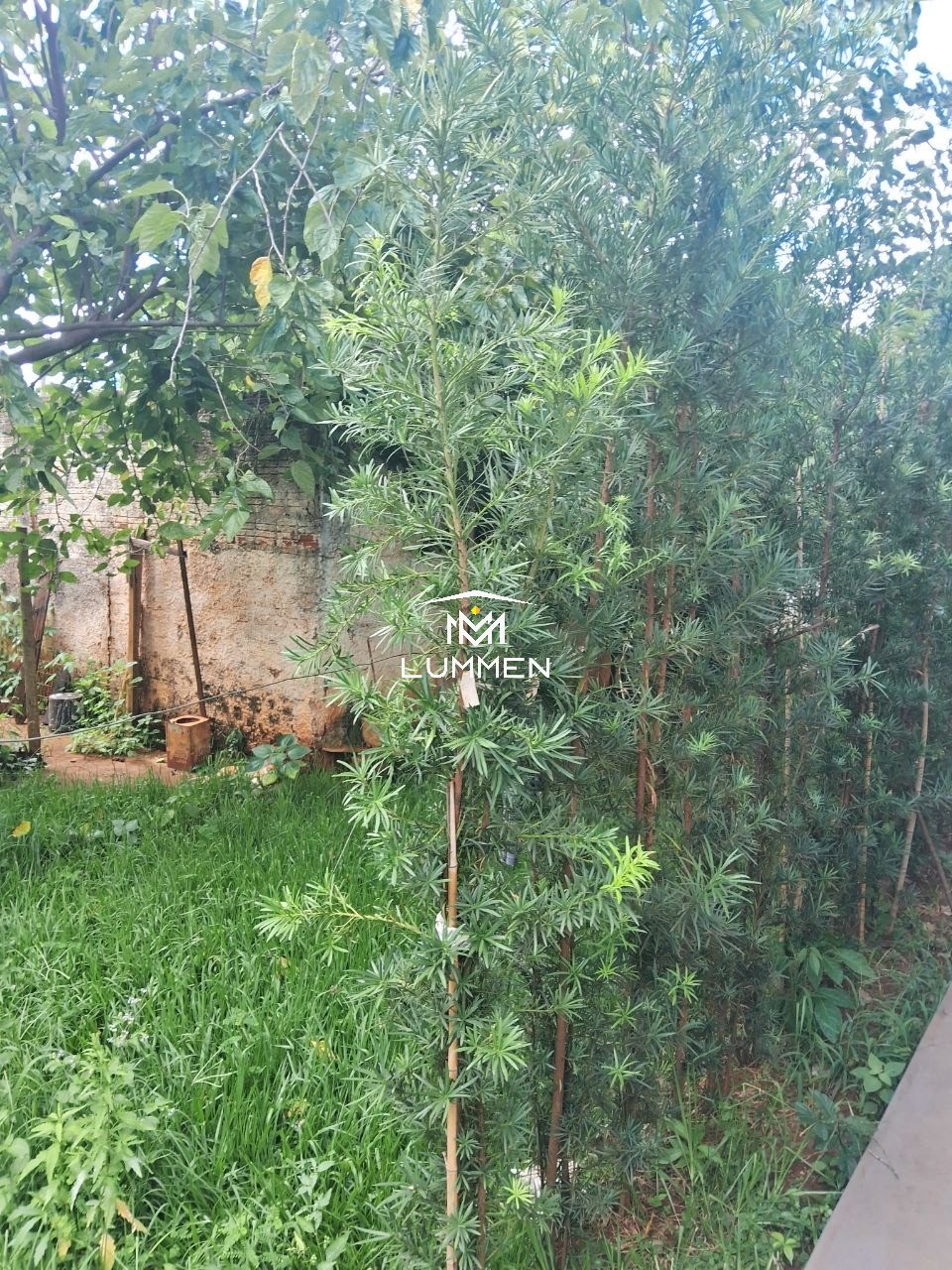 Casa, 4 quartos, 1200 m² - Foto 23