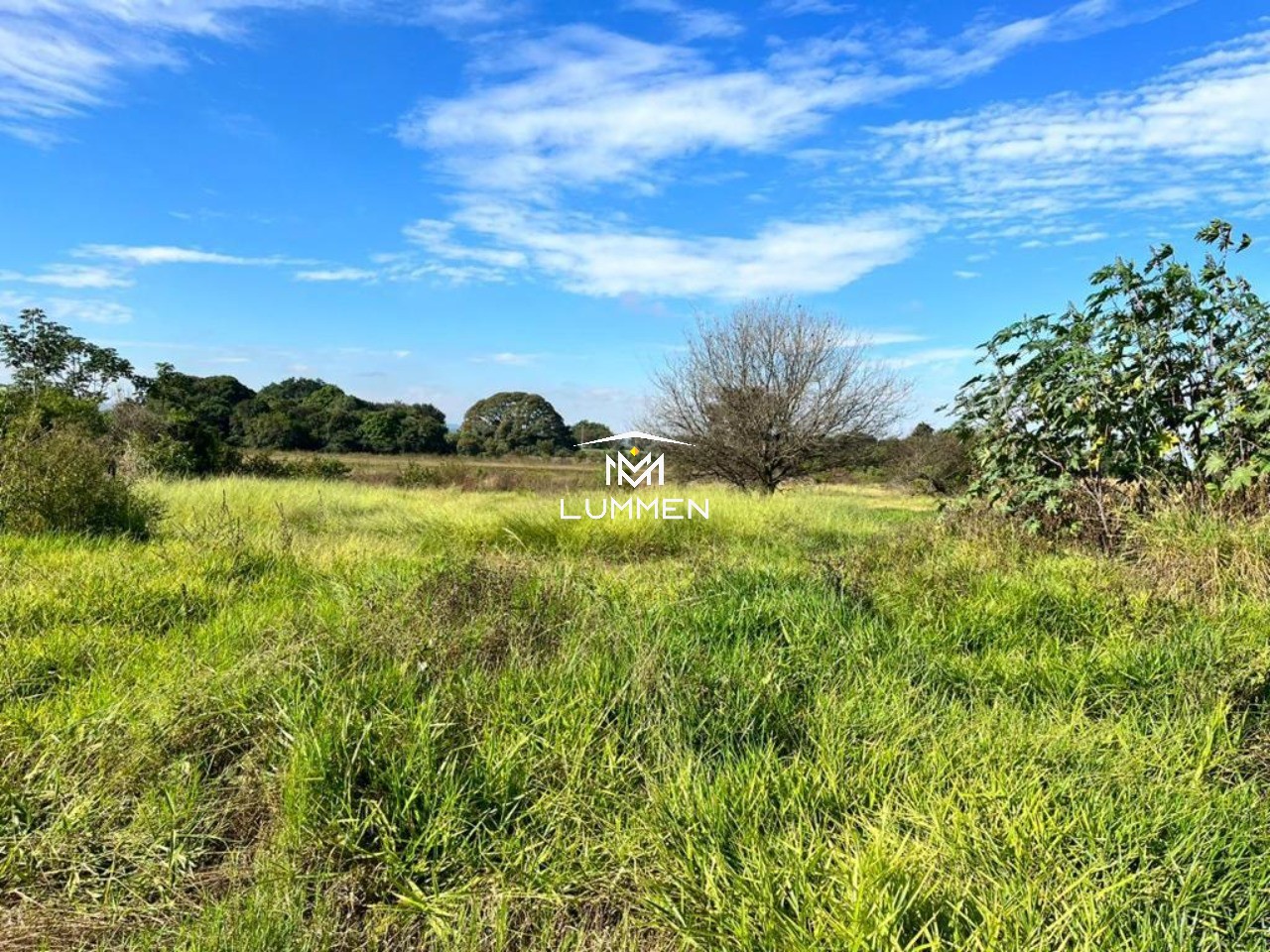 Sítio, 2 quartos, 2 m² - Foto 24