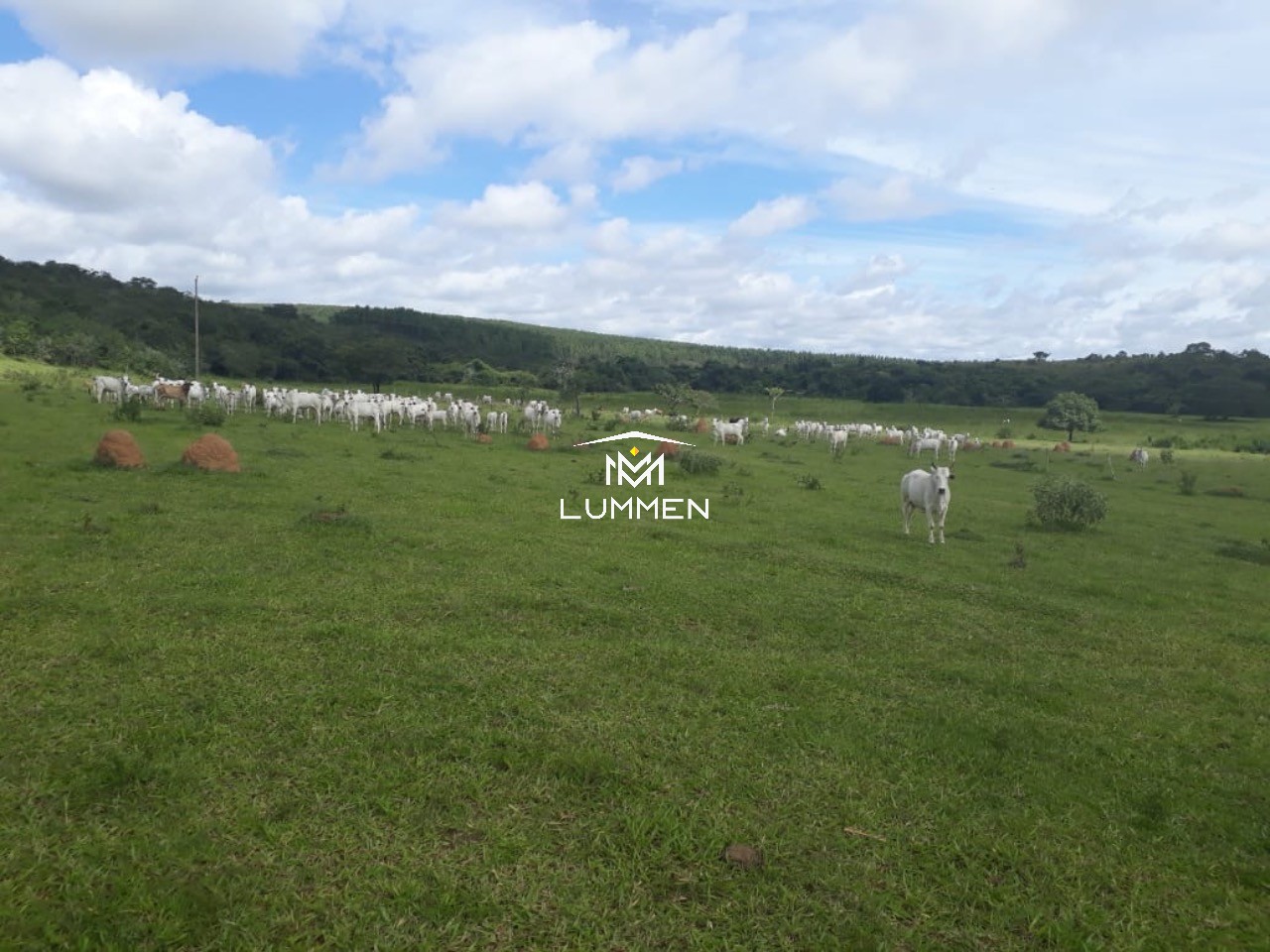 Fazenda, 5 quartos - Foto 5
