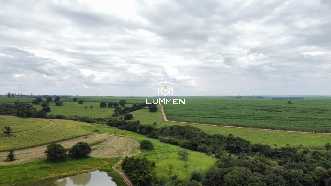 Fazenda - Foto 6