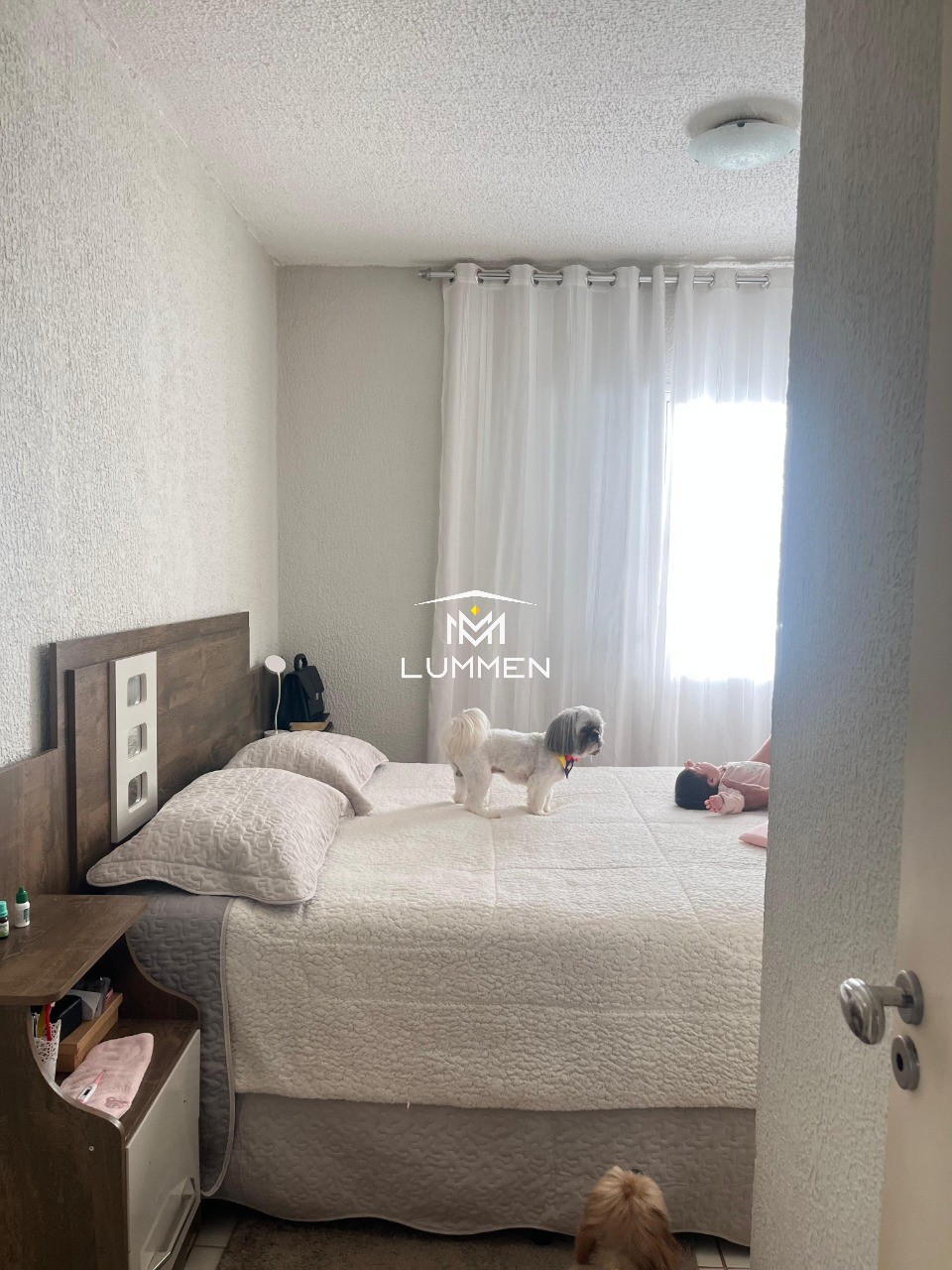 Casa, 3 quartos, 100 m² - Foto 12