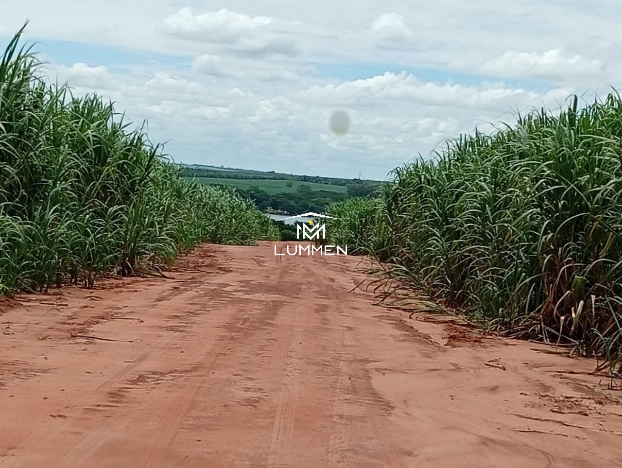 Fazenda - Foto 6