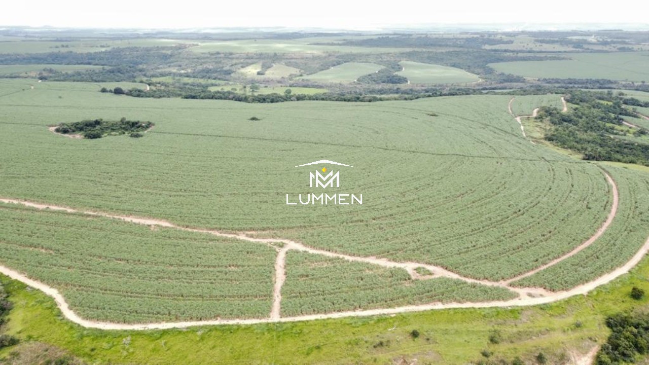Fazenda - Foto 7