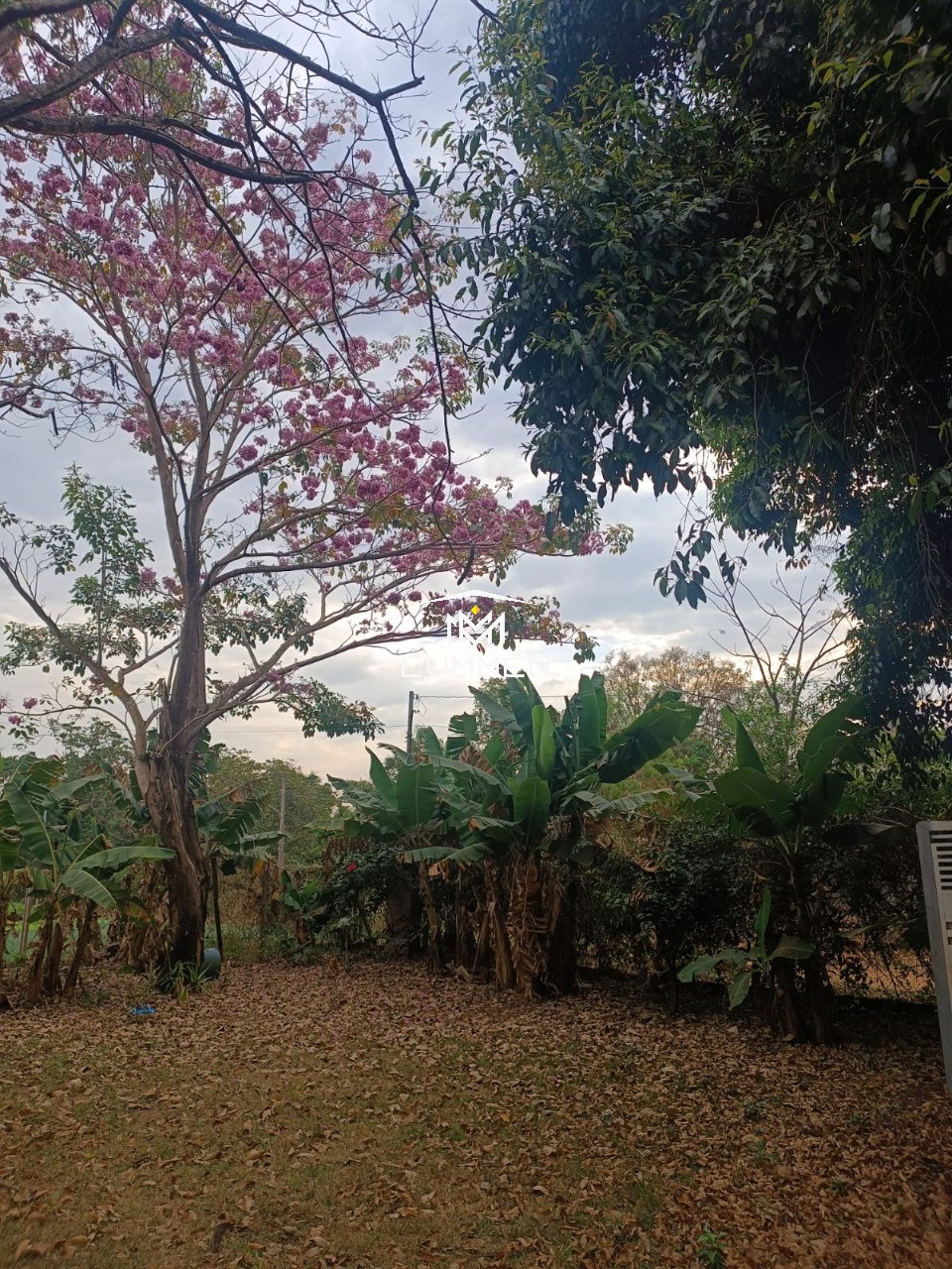 Chácara, 1 quarto - Foto 11