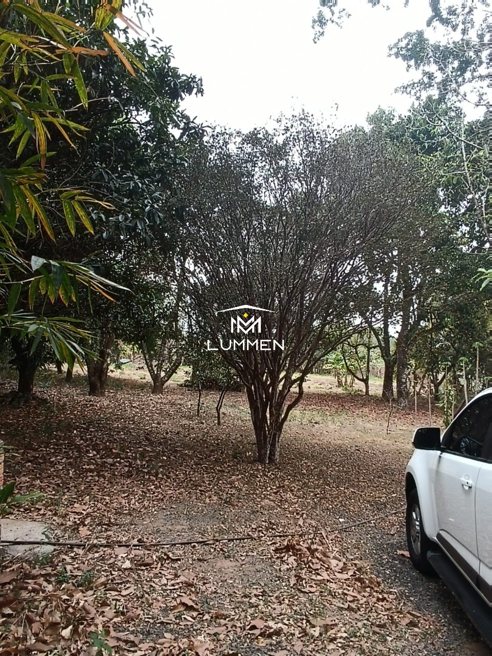 Chácara, 1 quarto - Foto 10
