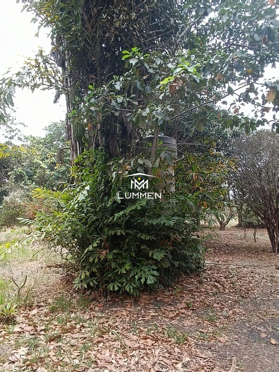 Chácara, 1 quarto - Foto 8