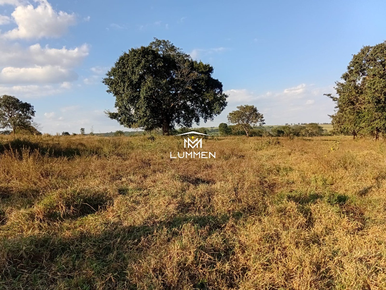 Terreno, 800 m² - Foto 2
