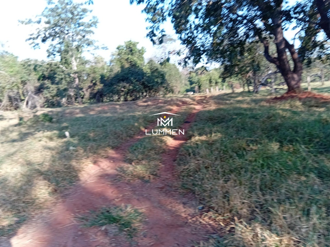Terreno, 800 m² - Foto 7