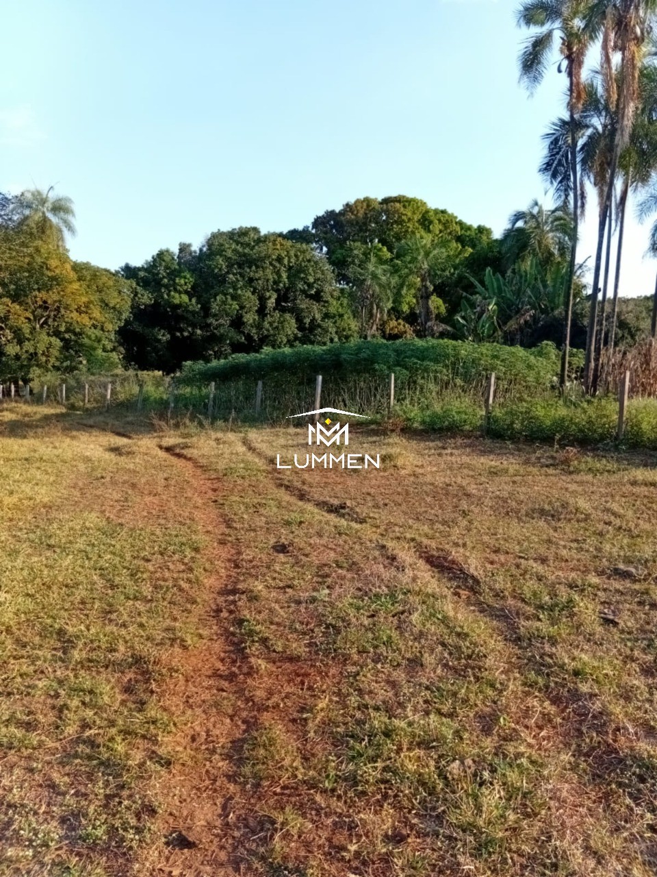 Terreno, 800 m² - Foto 10