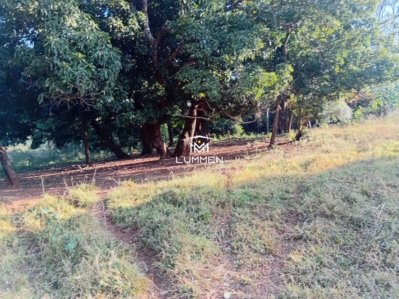 Terreno, 800 m² - Foto 8