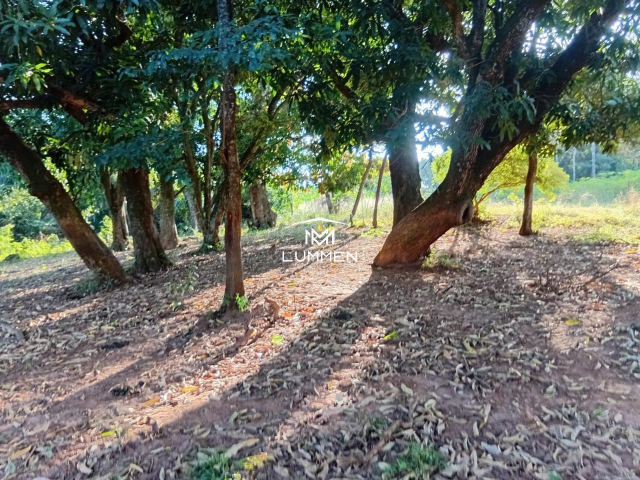 Terreno, 800 m² - Foto 6