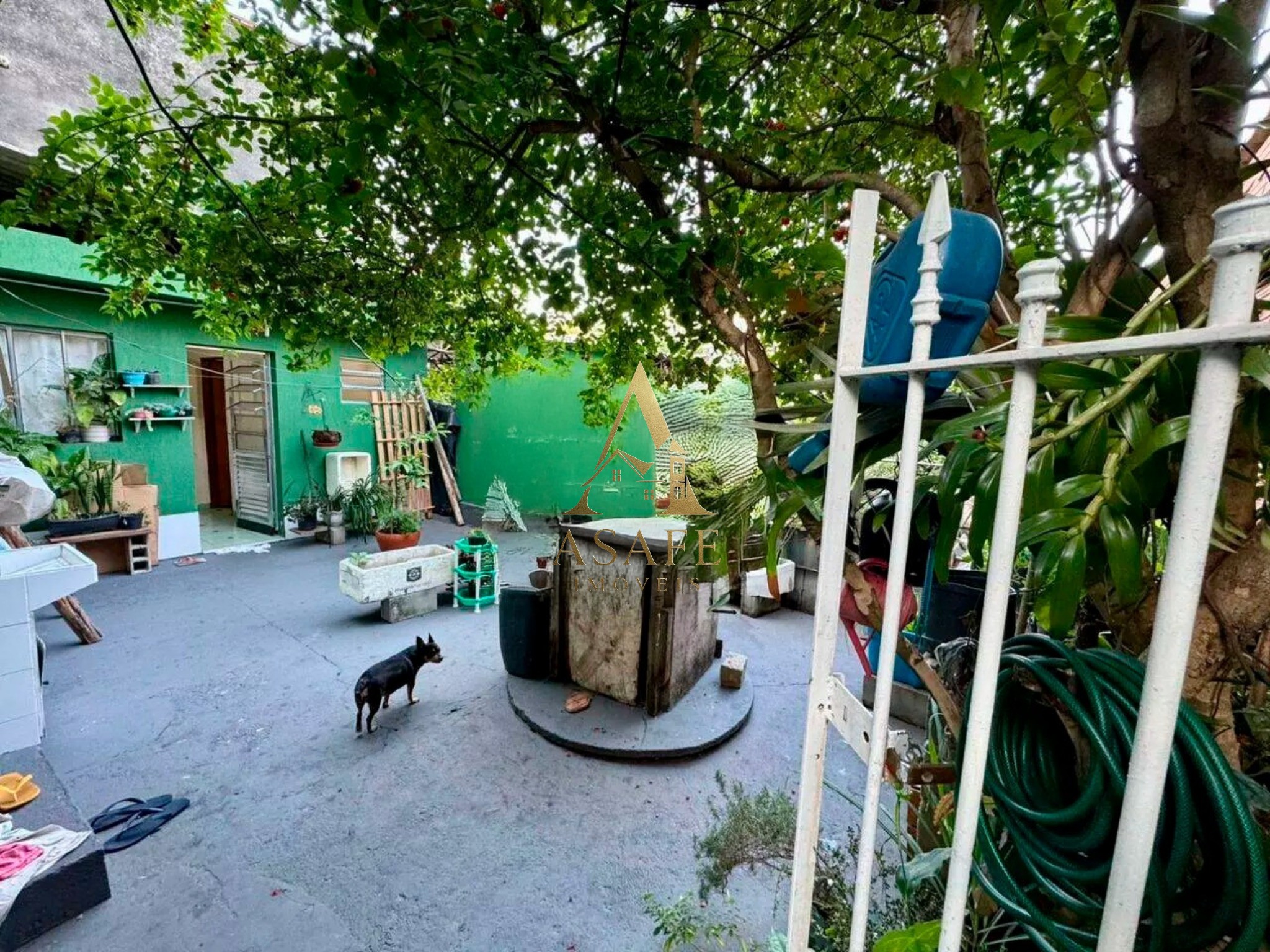 Casa, 4 quartos - Foto 4