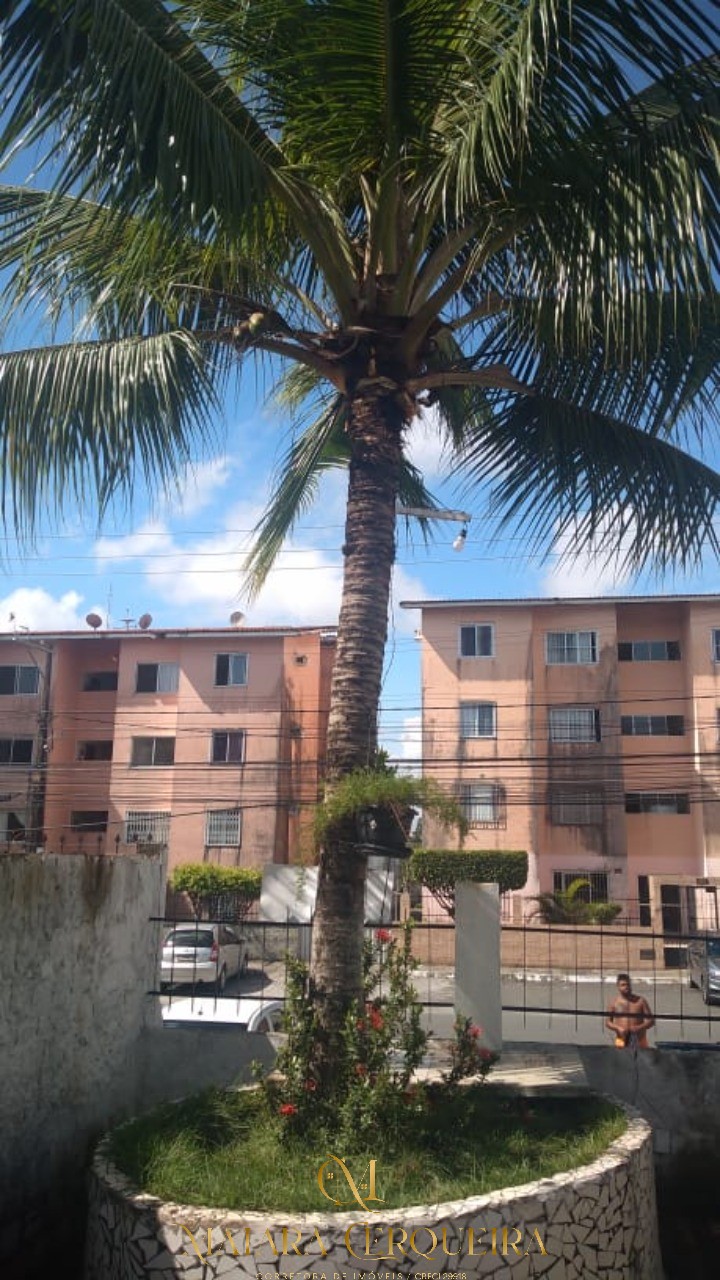 Apartamento residencial em salvador - ba, tancredo neves