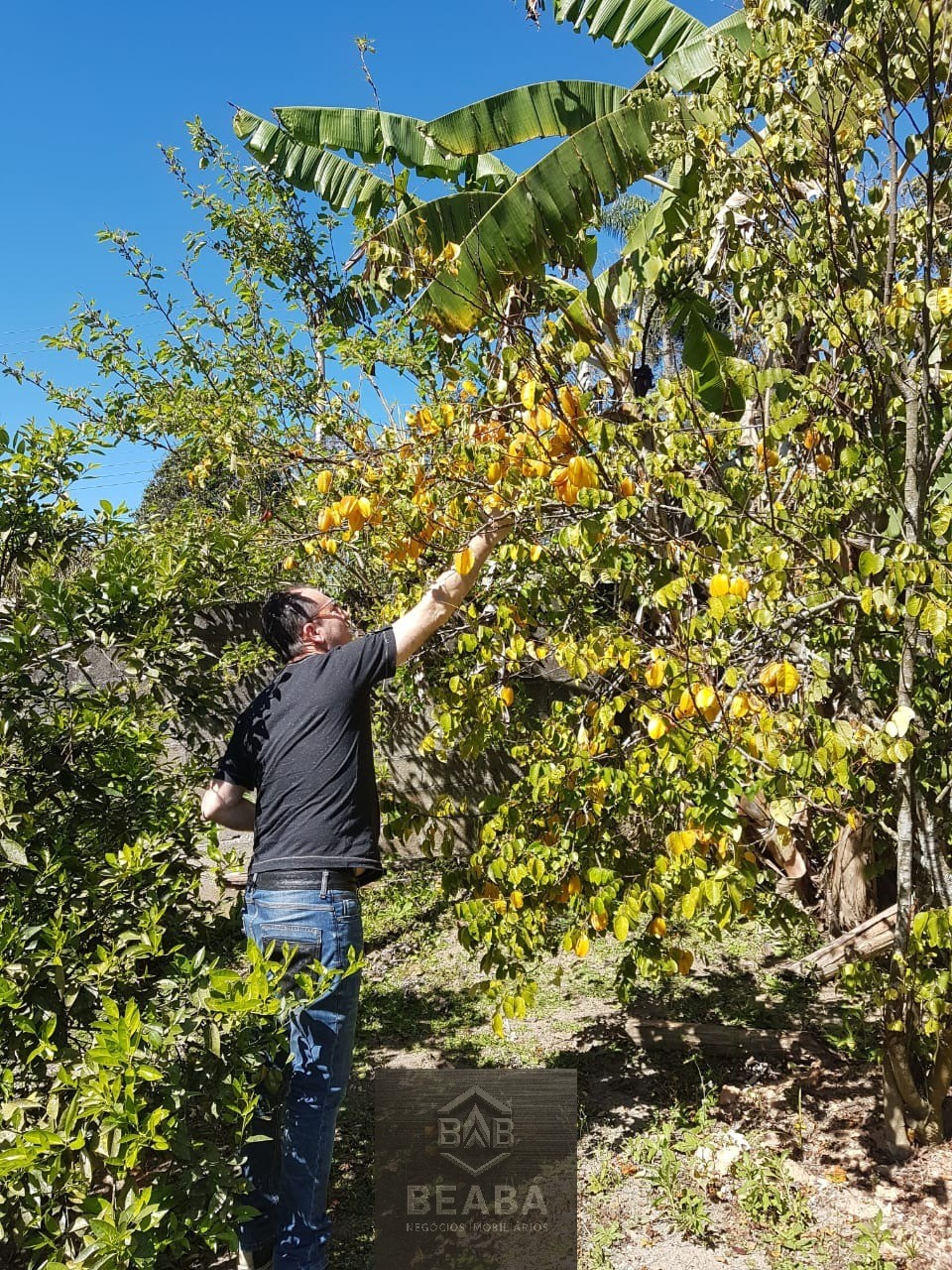 Chácara, 1 quarto - Foto 11