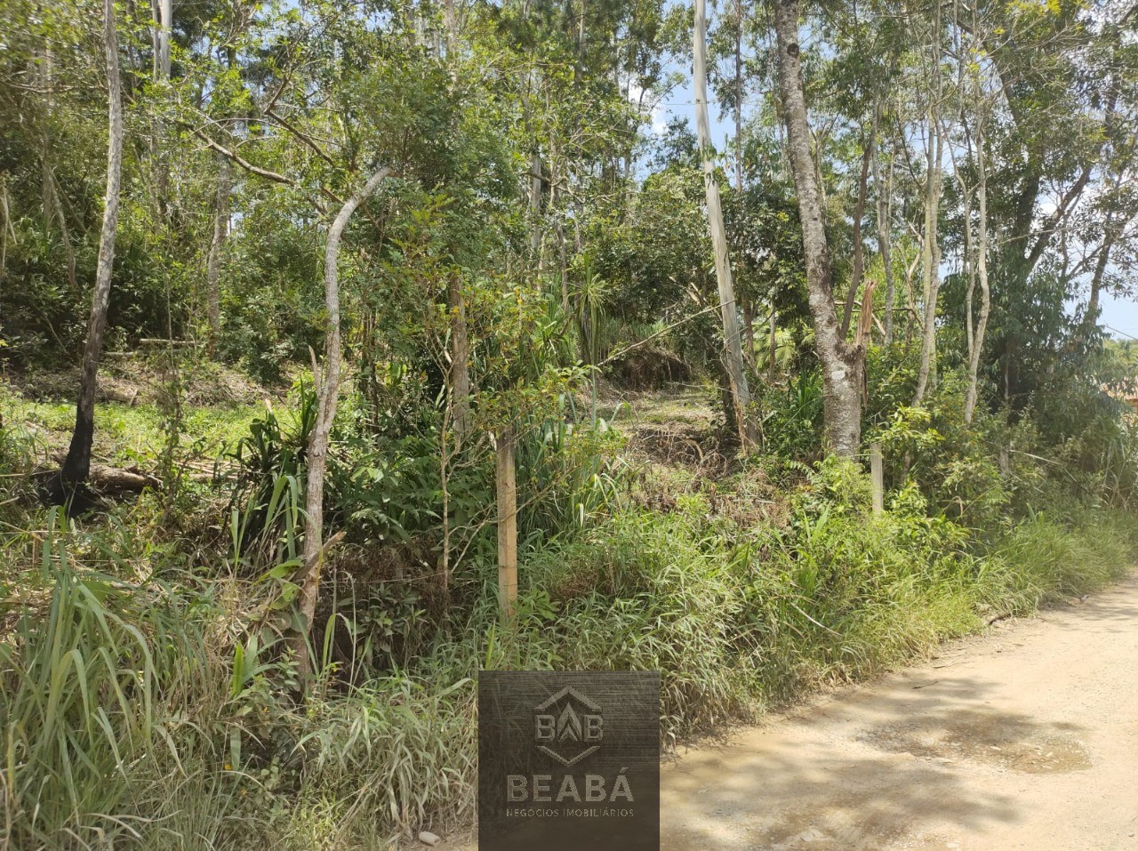 Terreno, 9532 m² - Foto 4