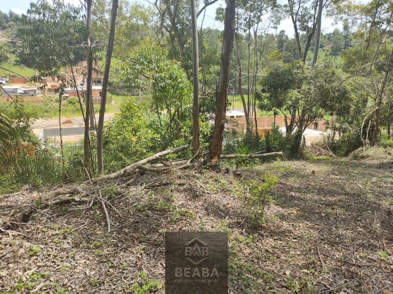 Terreno, 9532 m² - Foto 5