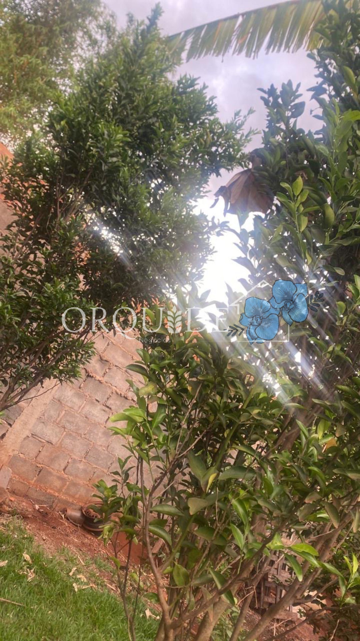 Chácara, 3 quartos - Foto 12