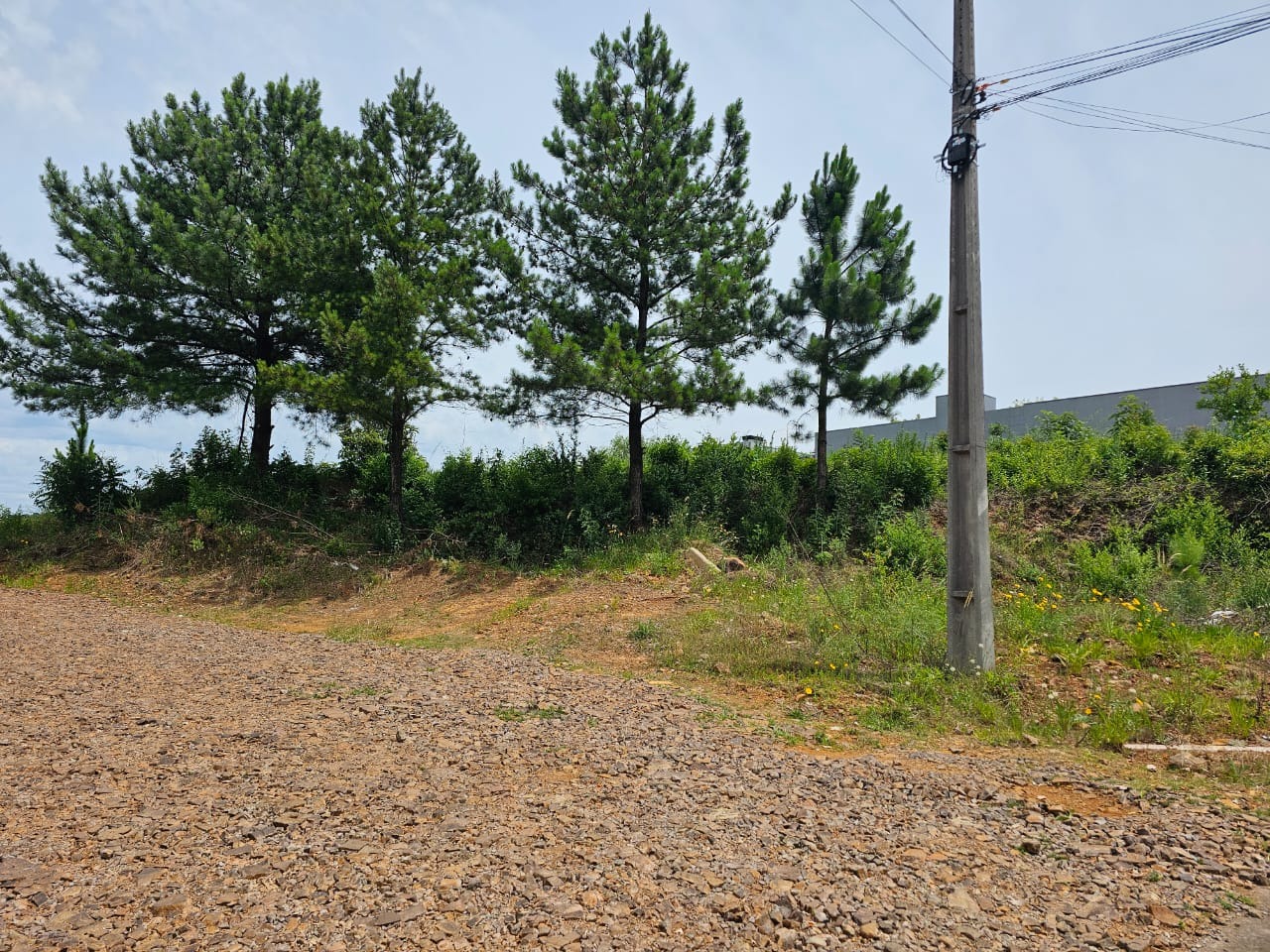 Terreno, 1010 m² - Foto 3