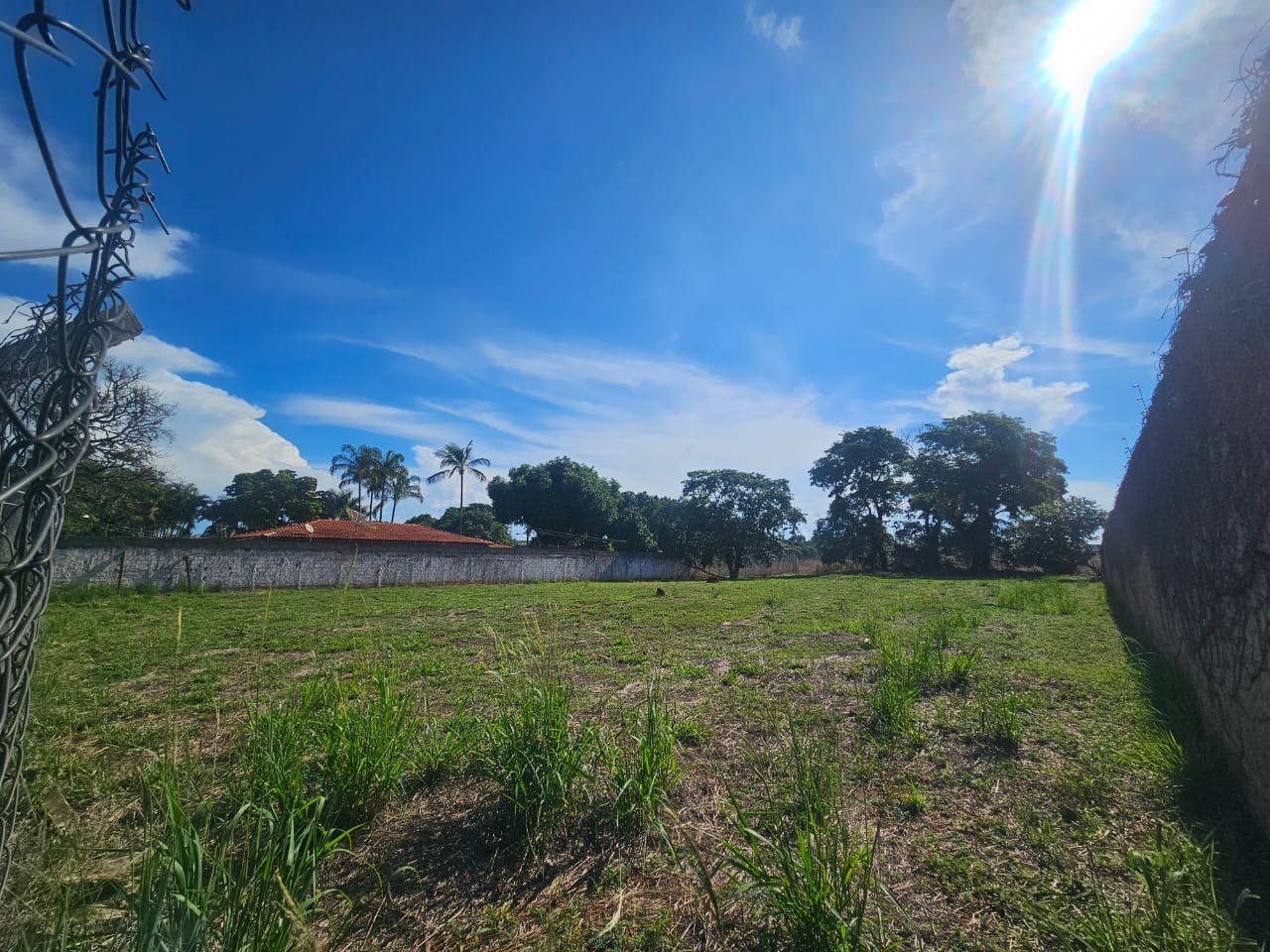 Terreno, 2676 m² - Foto 5