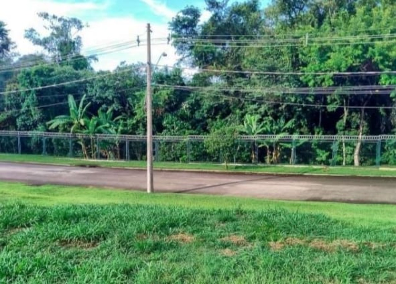 Terreno, 1073 m² - Foto 4