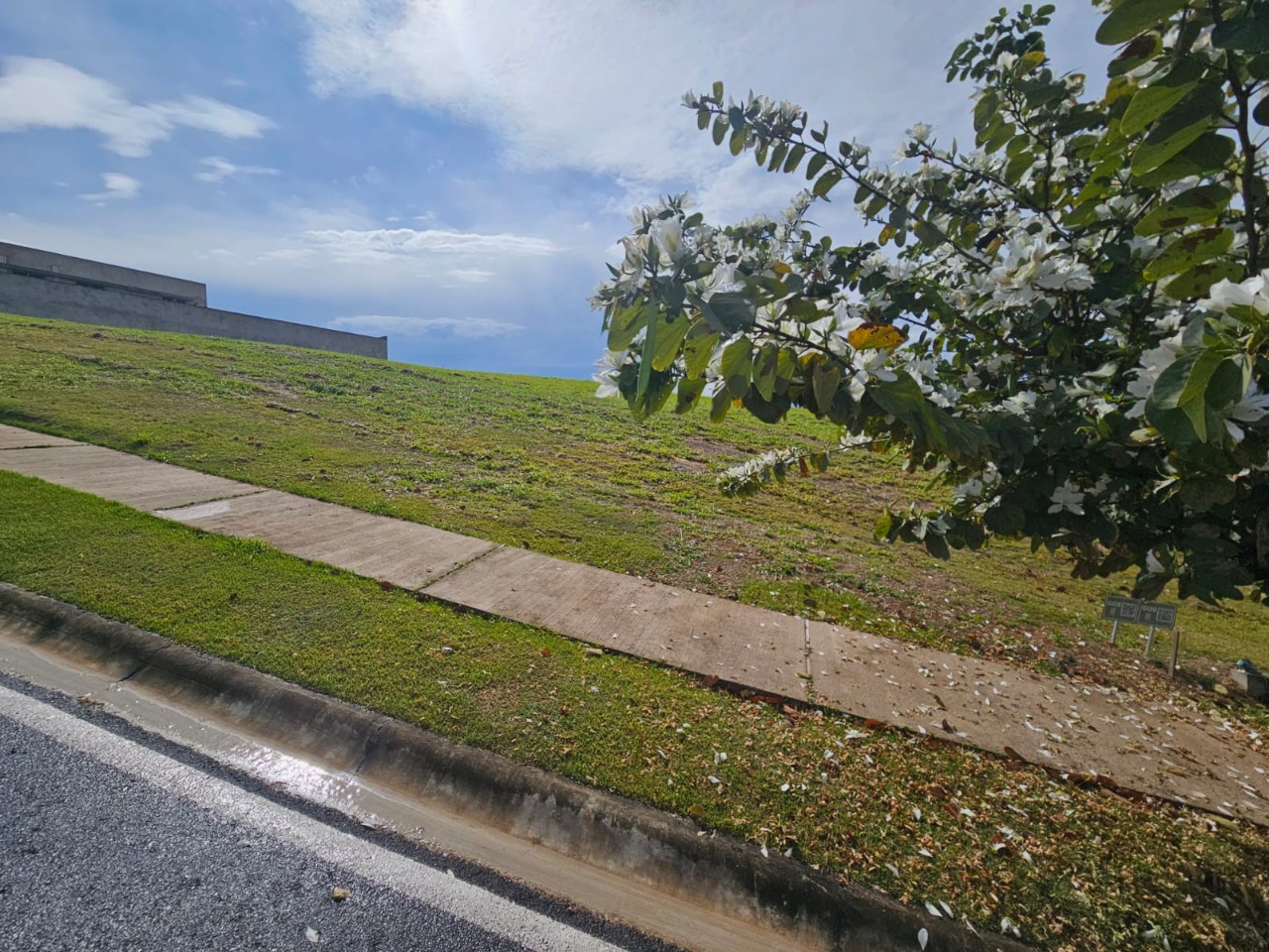 Terreno, 1000 m² - Foto 9