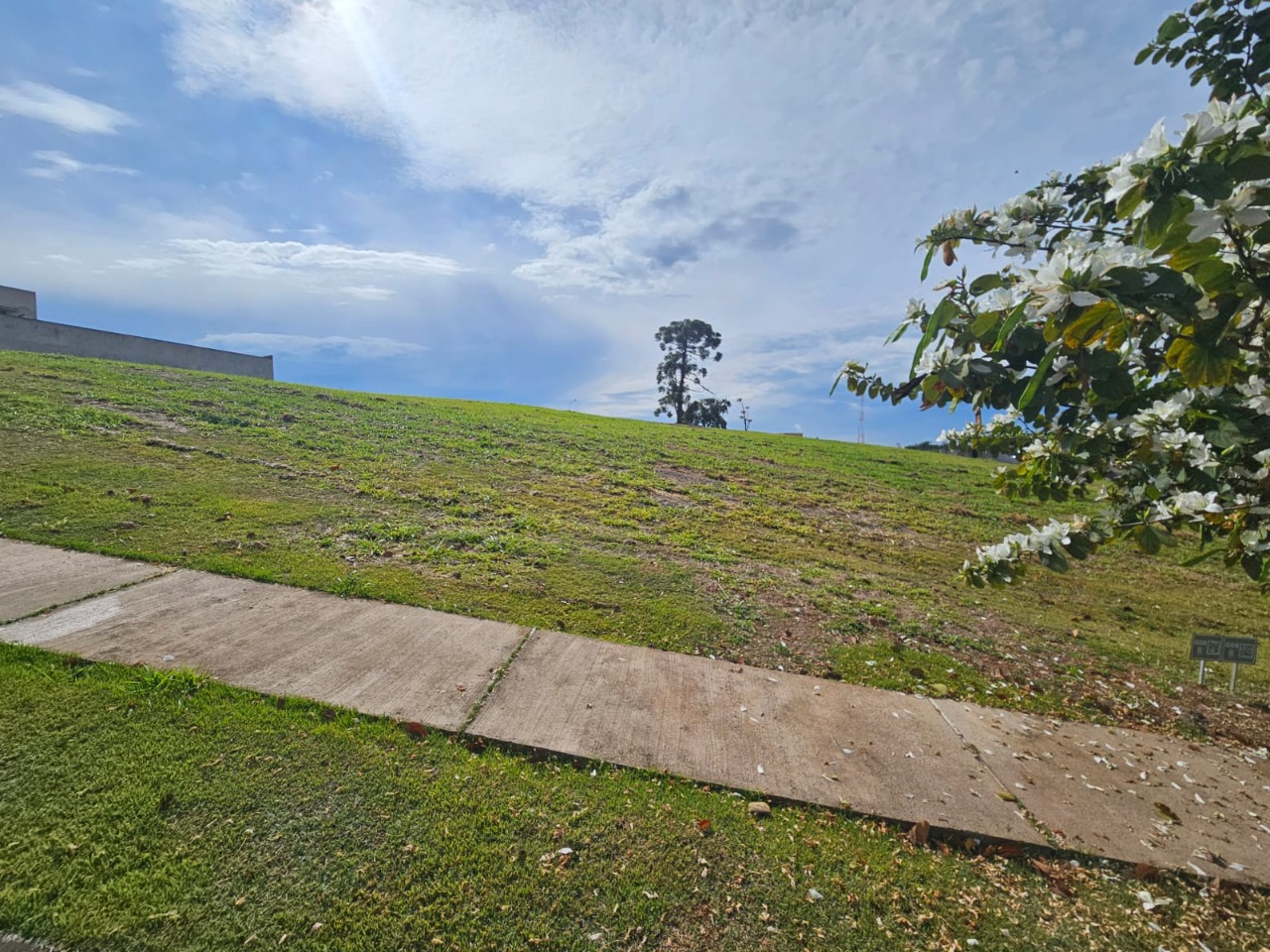 Terreno, 1000 m² - Foto 8