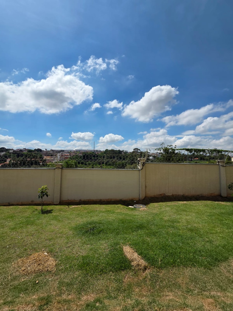 Apartamento, 2 quartos, 45 m² - Foto 29