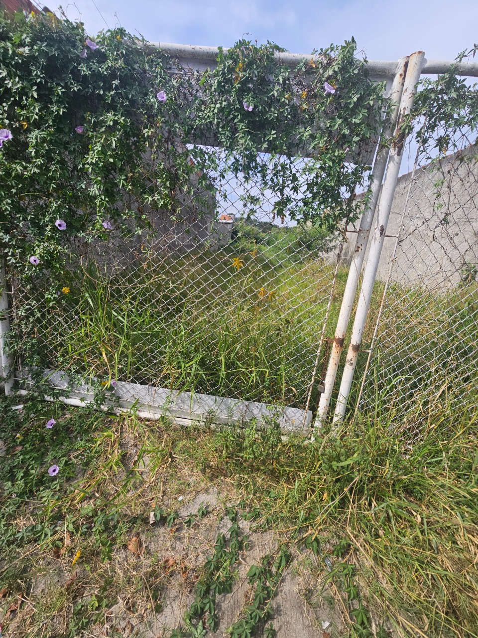 Terreno - Foto 20