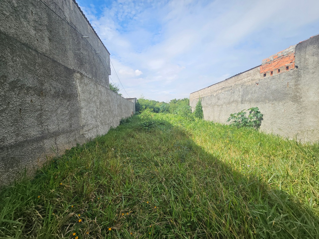 Terreno - Foto 4