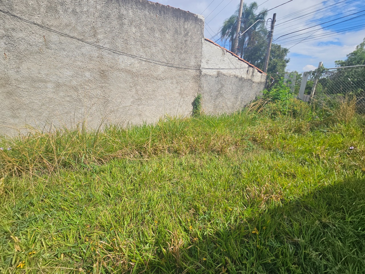 Terreno - Foto 8