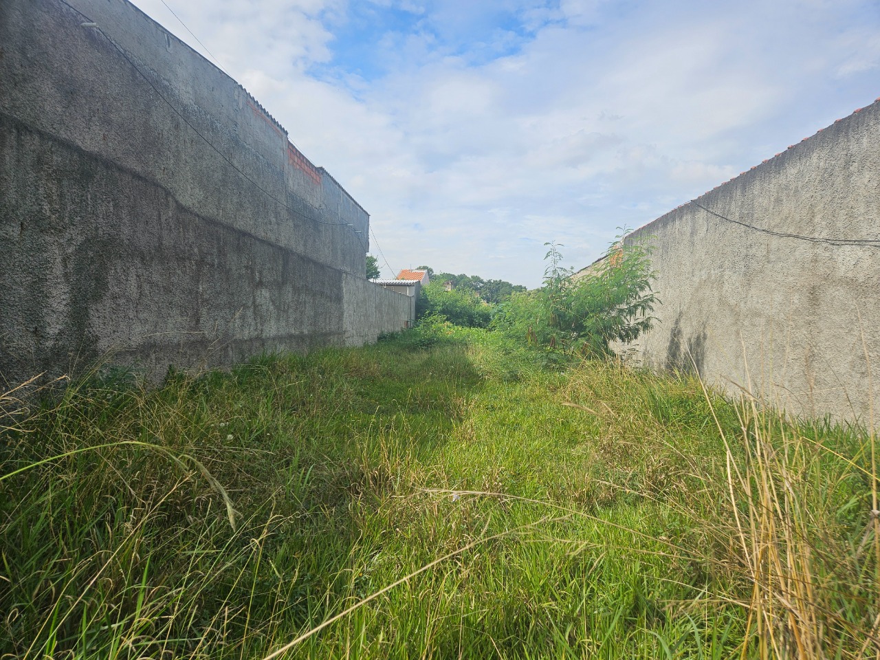 Terreno - Foto 15