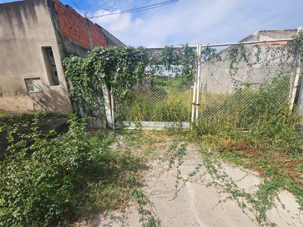 Terreno - Foto 22