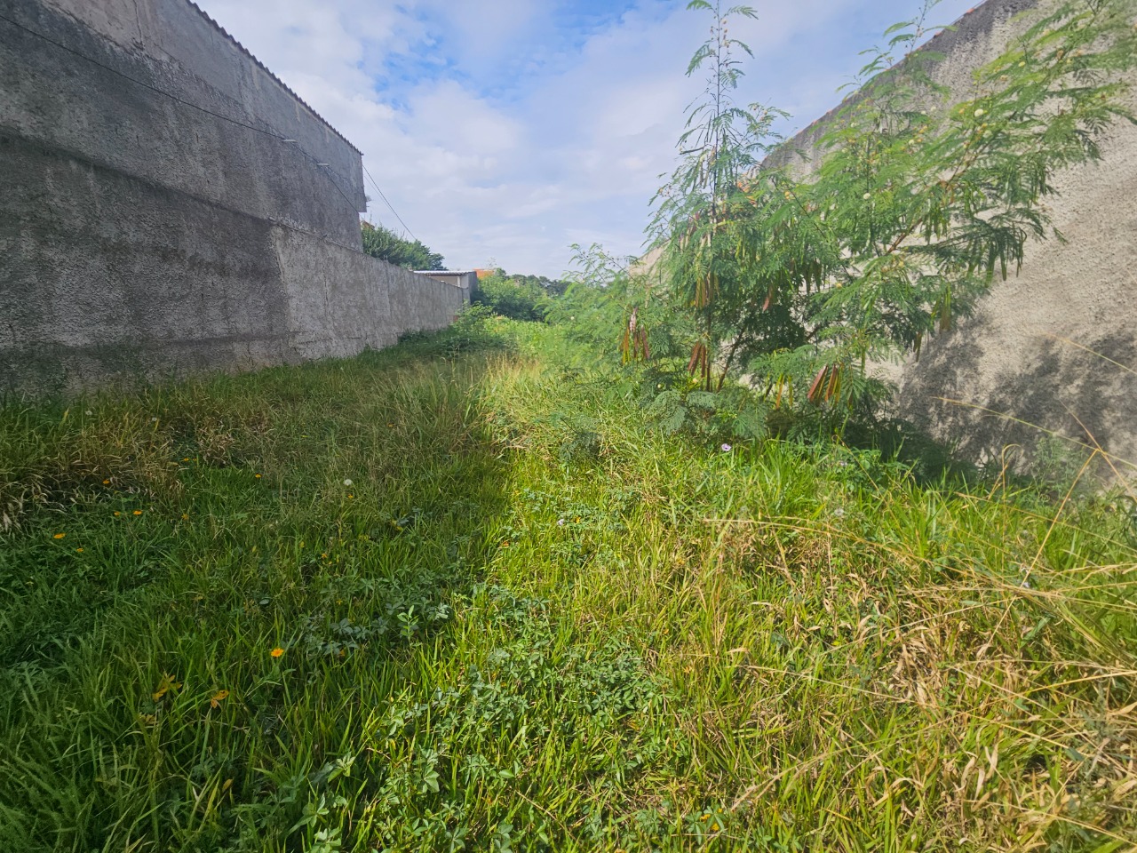 Terreno - Foto 11