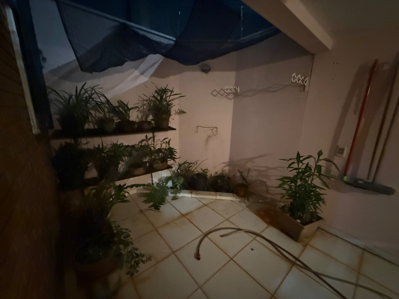 Apartamento, 2 quartos, 60 m² - Foto 28