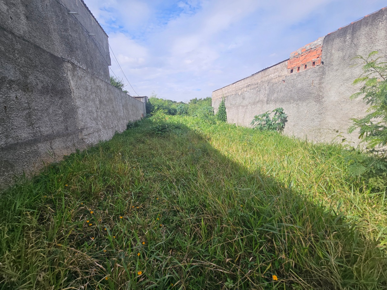 Terreno - Foto 6